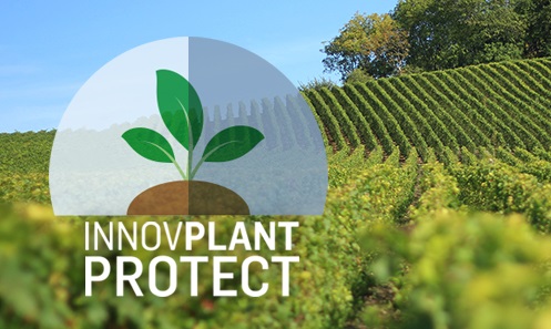 InnovPlantProtect